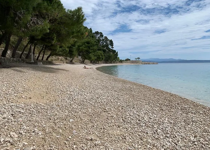 Mario Bed and breakfast